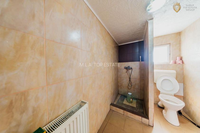 Spatiu comercial de inchiriat Aradul Nou - 20