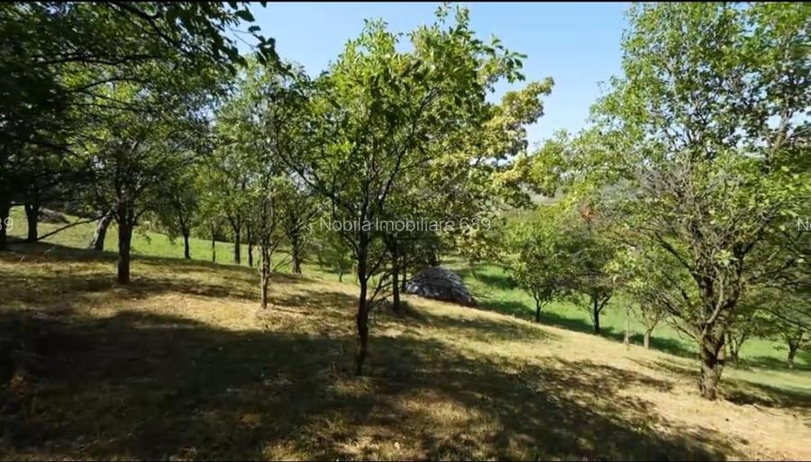 Teren intravilan + extravilan 10.537 mp – casa, livada sau ferma de familie - 4