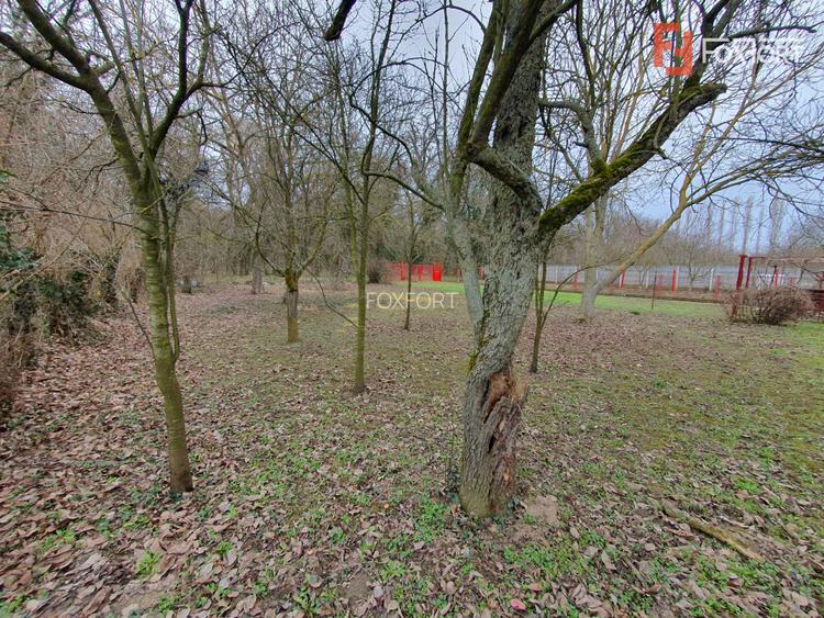 Apartament cu 5 camere de vanzare in Deta, zona Central - 19