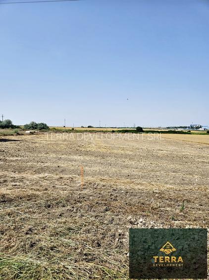 Loturi de teren , vis-a-vis de Insula Ovidiu - 4