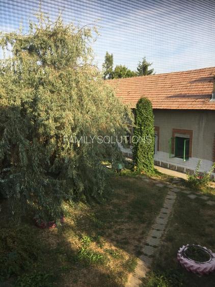 FERMA DE VANZARE! Pomi fructiferi, Bals, Jud Olt - 18