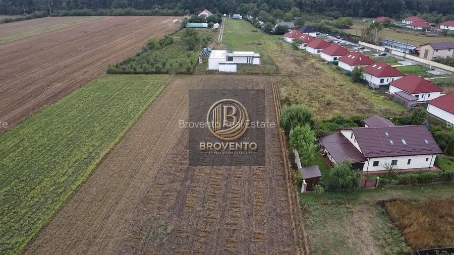 Teren Moara Vlasiei / Strada Cantonului - Padure - 2