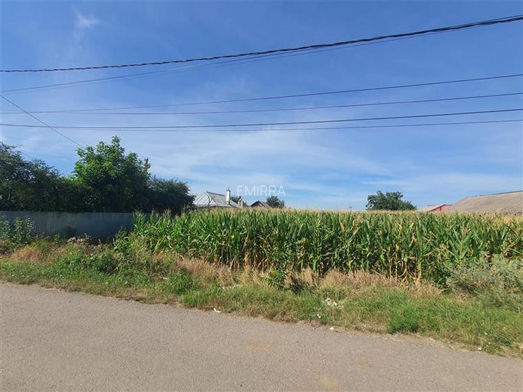 Teren 4900 mp de vanzare in sat Holt, Letea Veche, Bacau - 5