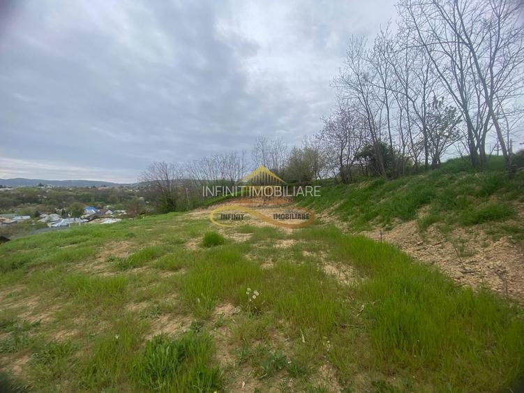 Casa plus teren de vanzare Magura Bacau - 13