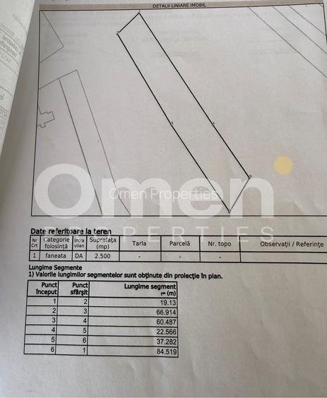 Teren intravilan 2500 mp in Berinta | Front stradal 22.5 m - 3
