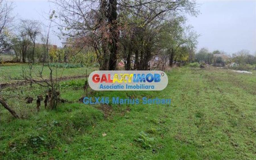 Vanzare teren intravilan Petresti - 5