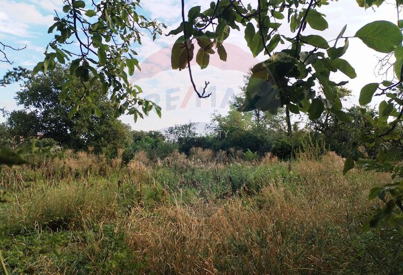 Casă / Vilă cu 4 camere de vânzare în zona Central - 3