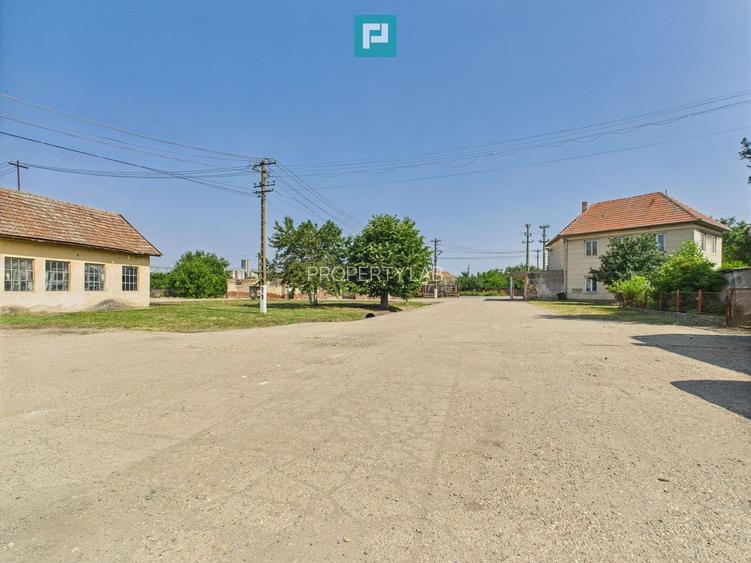Complex industrial cu hale și teren  în Orțișoara - 10