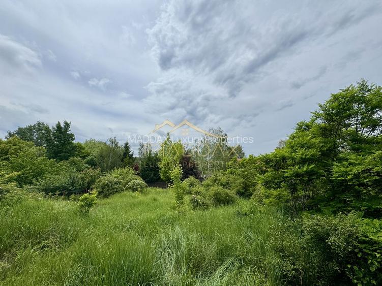 Vila cu 5 camere *616mp* / 1600mp teren / Corbeanca - 3