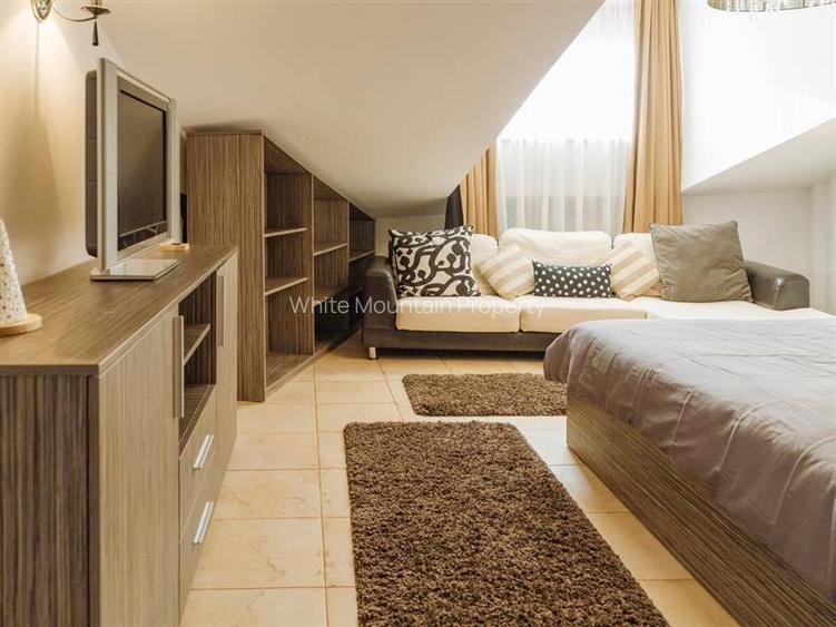 Penthouse 2 camere, inchiriere lunga durata, Herastrau - 10