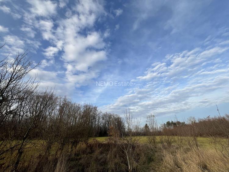 TEREN INTRAVILAN GENEROS | 72 ARI | GALANESTI - 7