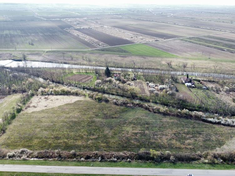 Teren intravilan Balint 22.500 mp - 3