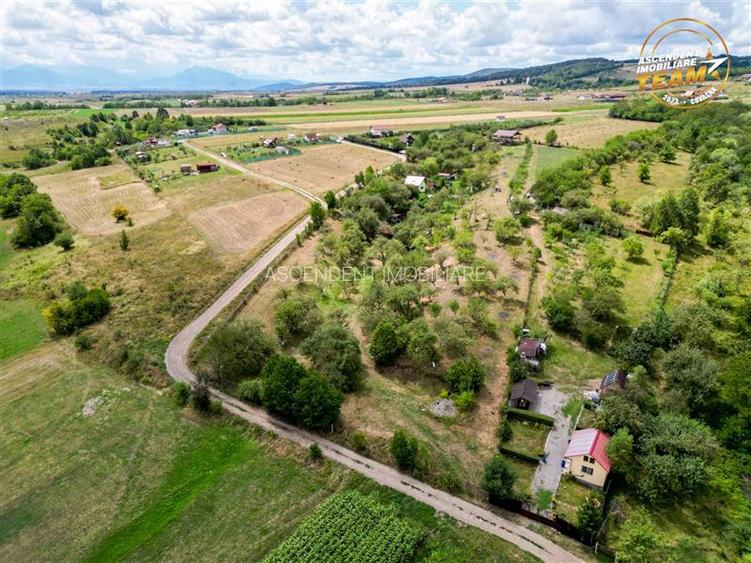 FILM! Confortabila ariere, 4.500 mp, arbori roditori, Sancraiu,Covasna - 6