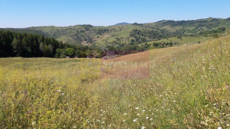 Teren intravilan de vanzare in Breaza (dezvoltare imobiliara) - 2