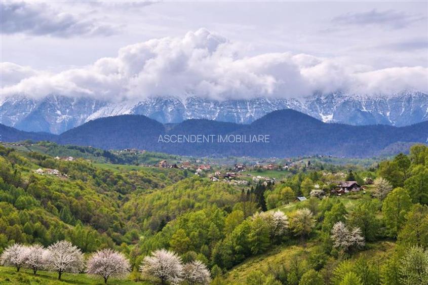 7.000 mp, pozitie spectaculoasa, fara vecini, Fundatica, Brasov - 4