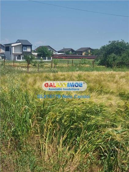 VANZARE TEREN INTRAVILAN 10000 MP  COMUNA BERCENI - 7