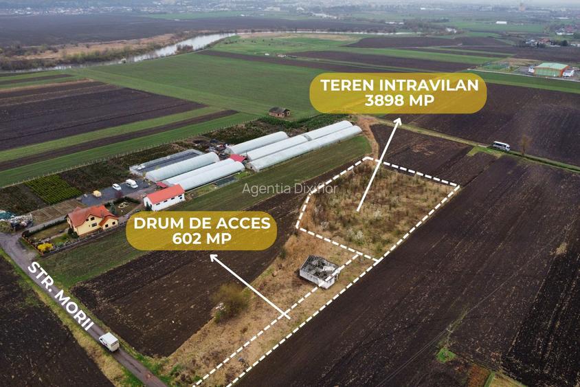 Teren intravilan | sat Curteni | 3.898 mp - 2