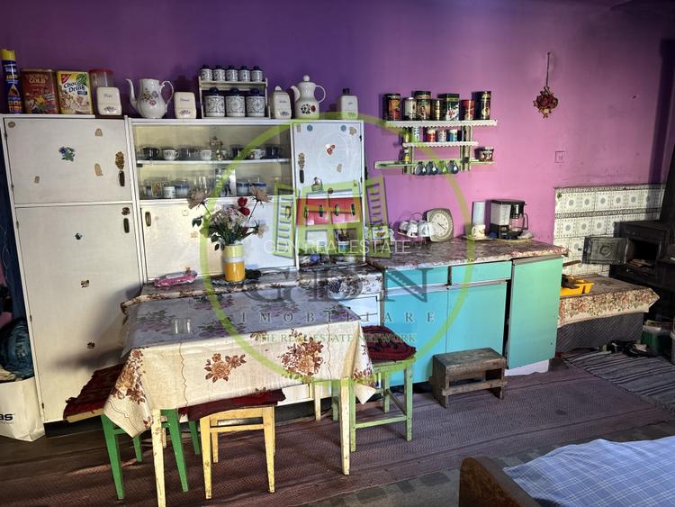 Casa saseasca + 3000mp teren  sat Nou - 9