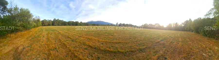 Teren cu panorama de vis in Glajerie- Sohodol - 6