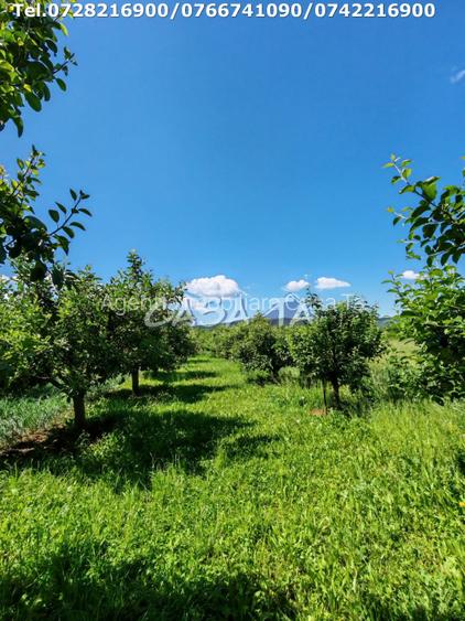 Casa situata in Samarinesti, sat Valea Bisericii - 11