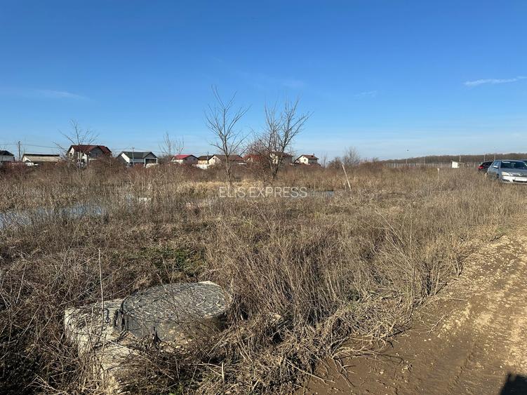 3368MP TEREN CONSTRUCTII MOGOSOAIA, APROAPE DE PRIMARIE, UTILITATI - 4