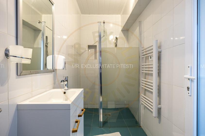 Afacere multifuncțională cu venituri imediate si potențial de extindere - 17