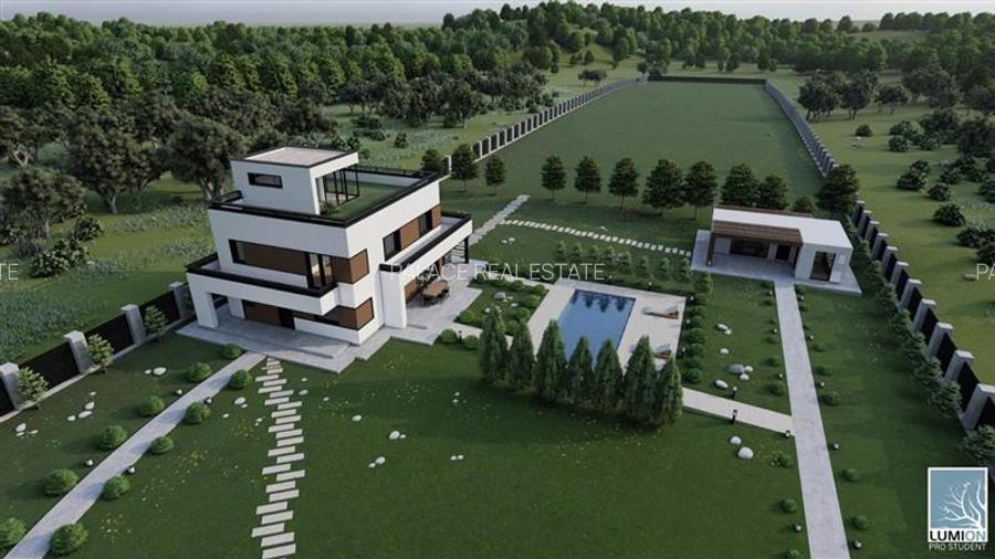 PROPRIETATE DE POVESTE, INCONJURAT DE PADURE CU DESCHIDERE LA DRUMUL JUDETEAN, 1 - 7