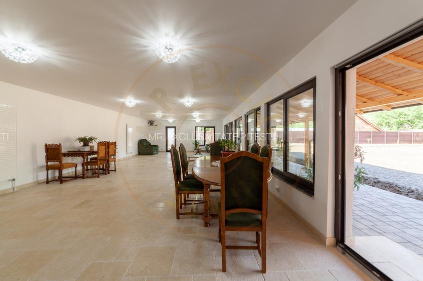 SPAȚIUL IDEAL PENTRU AFACEREA TA - CALEA CAMPULUNG - 3