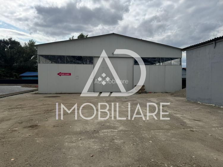 Hală industrială de închiriat – Târgu Jiu, Str. Tineretului - 7