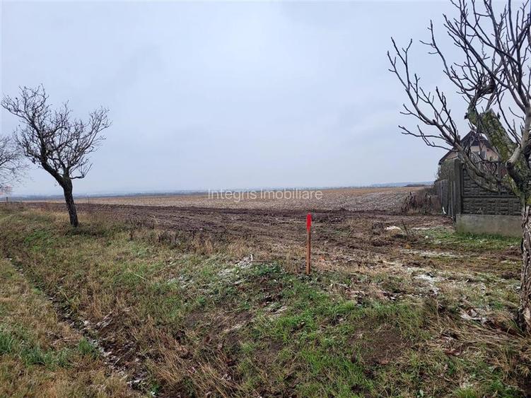 Teren intravilan,Calea Aradului,zona aeroport, Oradea - 5