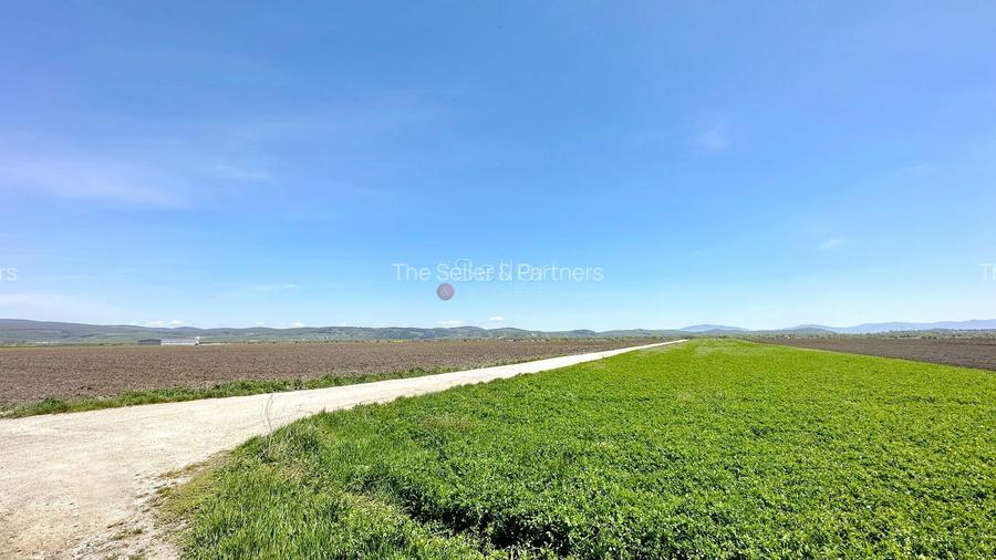 Teren Industrial - 9