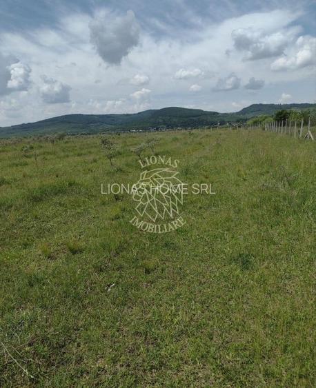 Teren 23700 mp (2,37 ha)-ideal investitie,cabana-Sesul Jelnei - 2