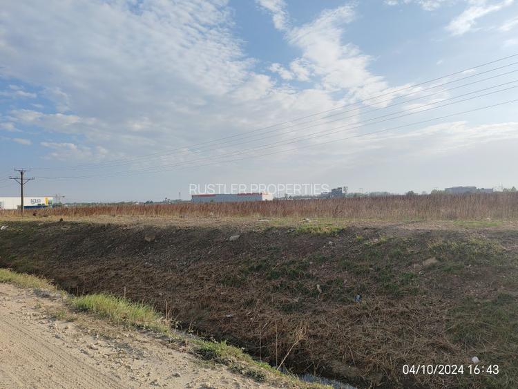 Vanzare Teren 7700 mp in Bolintin Deal - Zona Industriala - 2