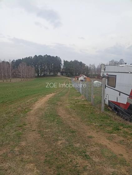 De vânzare terenuri intravilane în Reci - 10