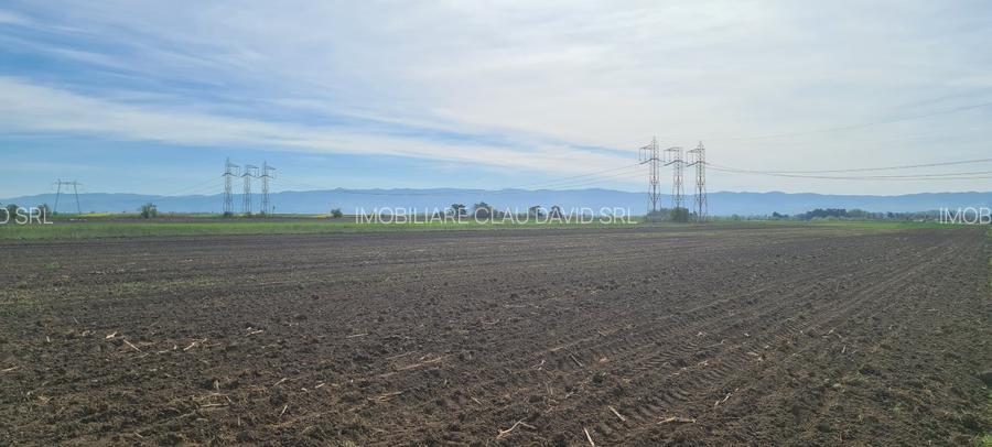 TEREN EXTRAVILAN LANGA FABRICA DE CHERESTEA Holzindustrie Schweighofer - RECI - 8