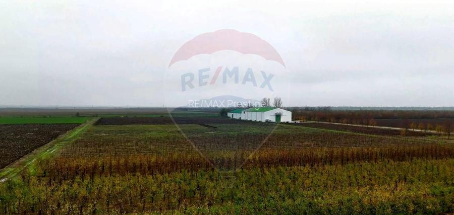 Ferma agro-industrială – 43 ha Adunații Copaceni - 13
