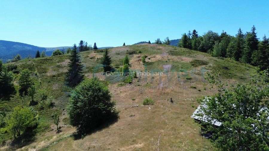 Teren pentru investitie turism, cu izvor si acces la utilitati, zona Arieseni - 2