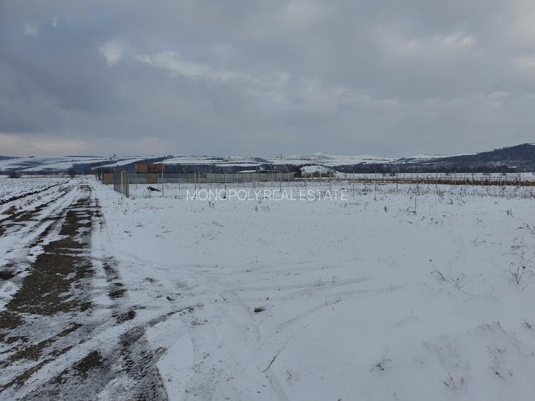 Teren Bod sat zona Dacia plant - 4