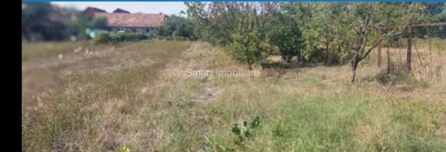 Teren 934 mp Ghimbav - 5