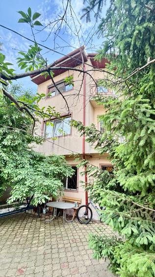 Vila P+2, Berceni-Aparatorii Patriei, locatie deosebita - 19