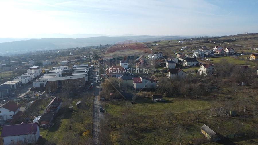 Teren 20.146 mp Dâmbu Rotund (Lomb).Extravilan.Potențial rezidențial - 5