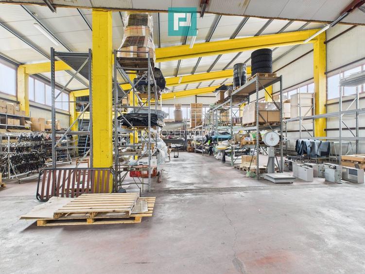 Hală de producție, cu birouri și teren, în Sebiș - 5