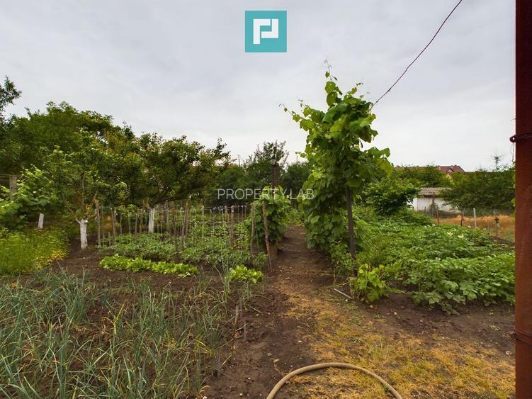 Casă ideală pentru o familie numeroasă, Sântana - 17