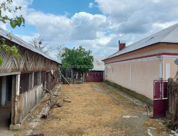 Proprietate cu 2 locuințe + spațiu comercial, 1175 mp teren – Islaz - 8