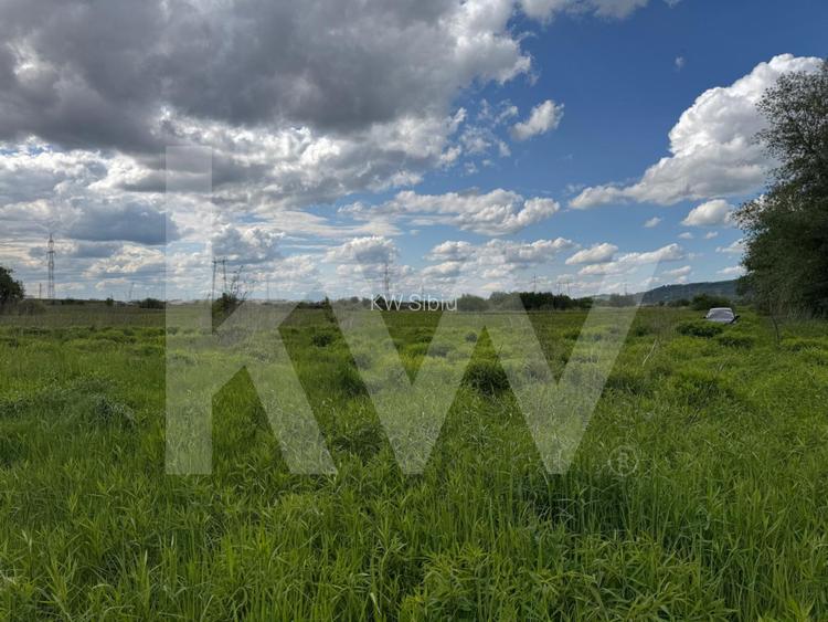 Teren extravilan arabil de vanzare – Bungard, Șelimbar - 5