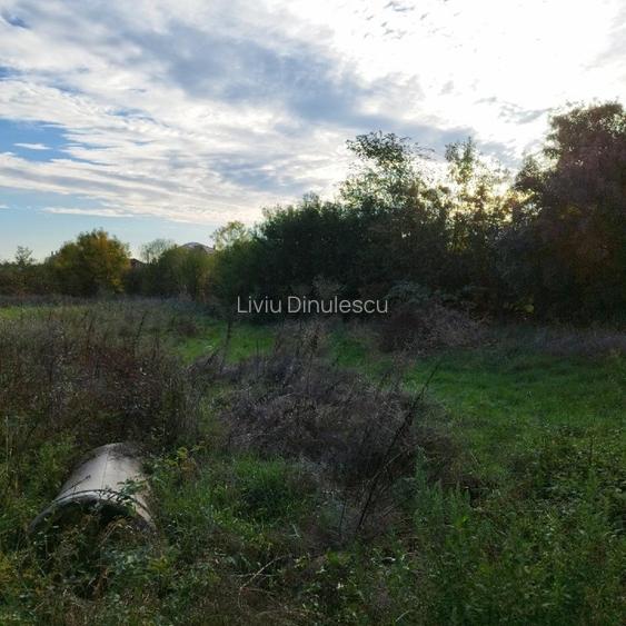 Teren de vanzare in comuna Sperieteni - 2