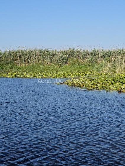 Teren intravilan in Delta Dunarii, C.A. Rosetti - Cardon - 16