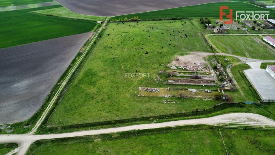 Teren intravilan cu suprafata de 58.340 mp, in Sanmartinul Sarbesc - 18