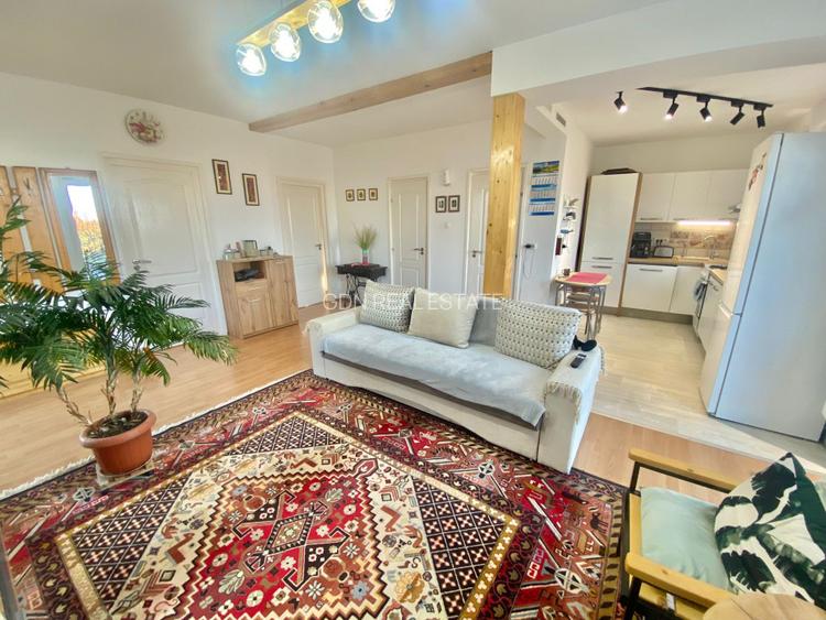 2 Case in regim P+M cu 9 camere, 3 băi, teren 1811mp, front 30m, Paleu - 14