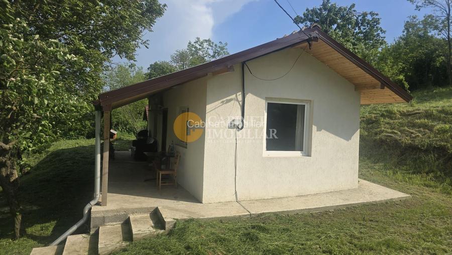 Oază de liniște și natură! Casă  cu 2 heleșteie și pârâu în curte – Probota - 2